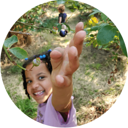 20240901_CharlottesBlueberryPark_circle_transp