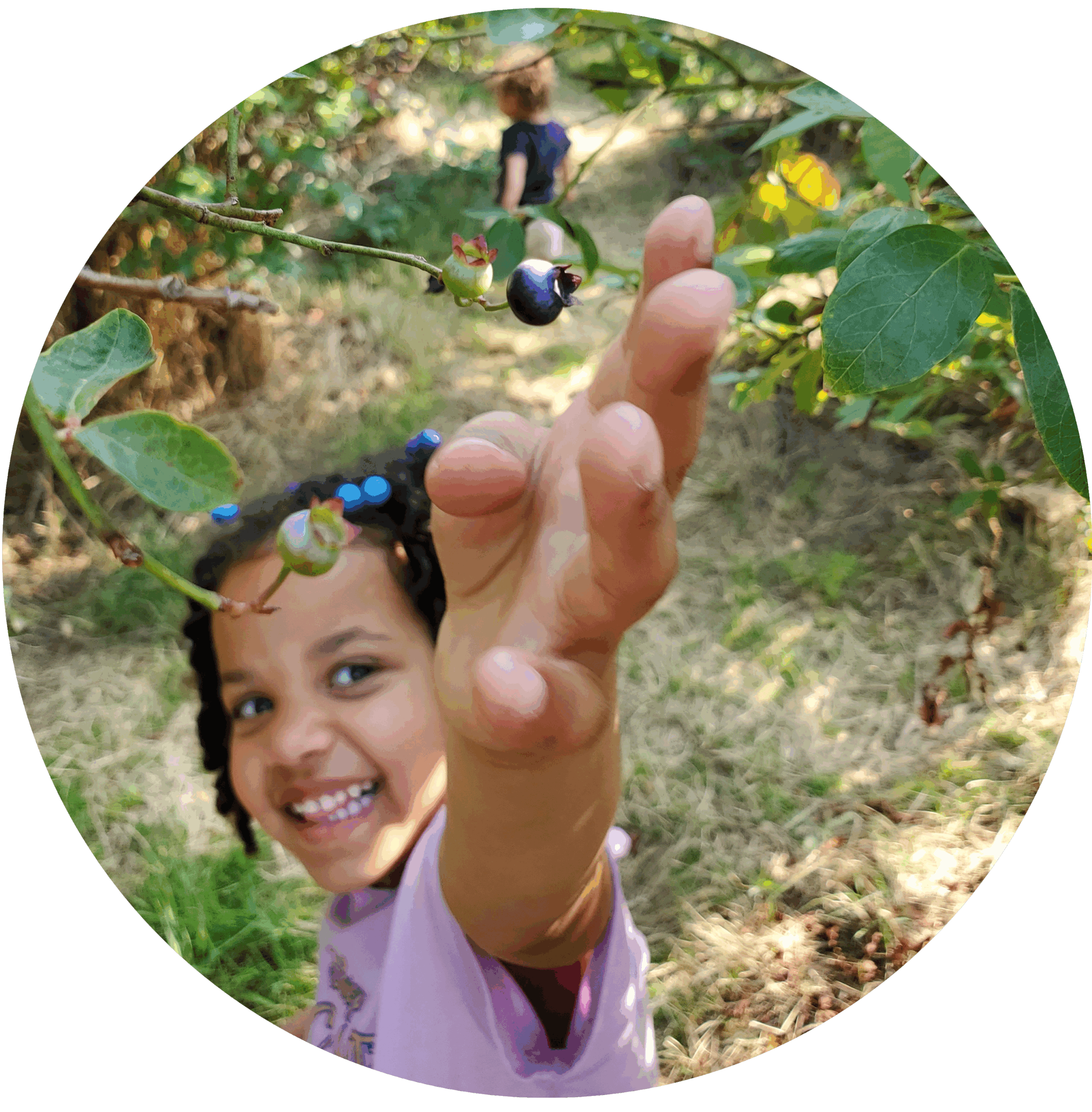 20240901_CharlottesBlueberryPark_circle_transp